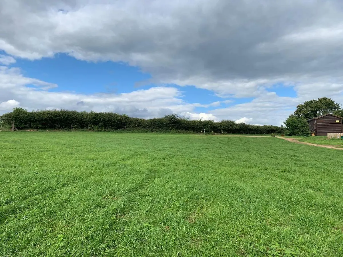 Vakantiehuis King Richard'S Luxury Lodge - Sleeps Up To 8 ,Dog Friendly ,Near Sherwood Forest At Fairview Farm In Nottingham Set In 88 Acres And Great For Groups,Family Gatherings,Corporate Events